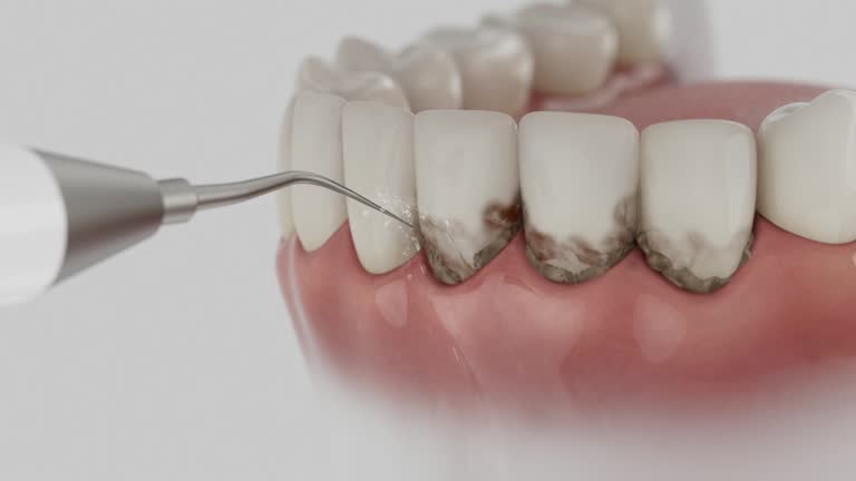 Reliable Dental contractor in New London, OH by Dentist Open Now